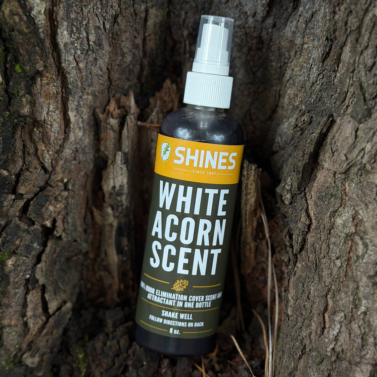 Shines White Oak Acorn Scent Spray